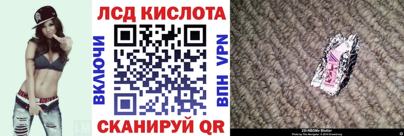 где купить   Шилка  Марки NBOMe 1500мкг 