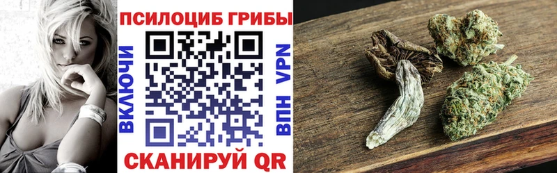 где можно купить   Шилка  Галлюциногенные грибы прущие грибы 