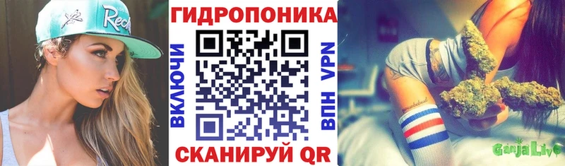 Каннабис семена купить наркотики цена Шилка